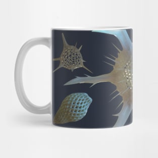 Radiolaria and Foraminifera Mug